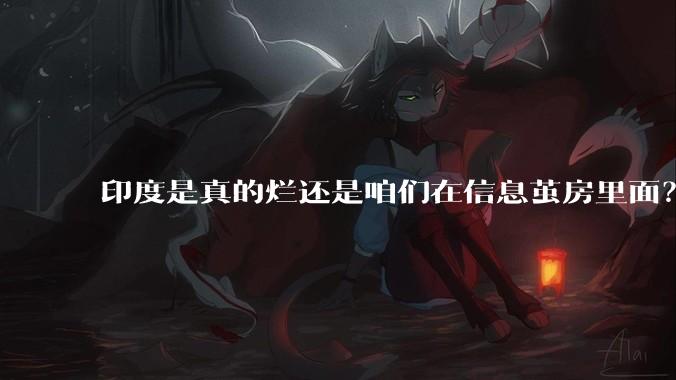 印度是真的烂还是咱们在信息茧房里面？